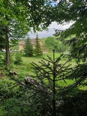 Foret attenante au terrain