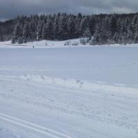 L'hiver, dans une nature encore sauvage..devant le gîte