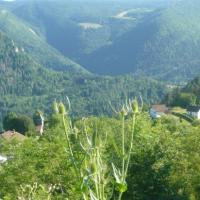 Paysage du Haut-Jura
